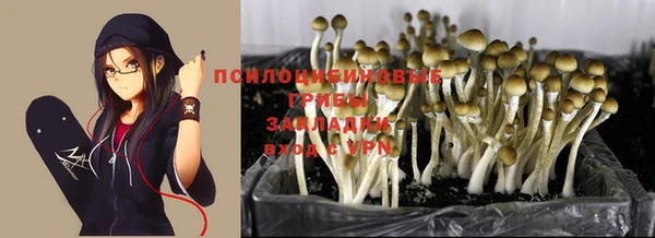 стафф Липки