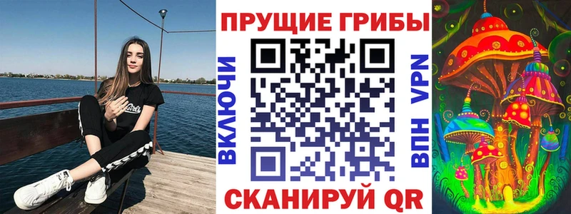 Купить закладки  Камышлов  Галлюциногенные грибы Psilocybe 